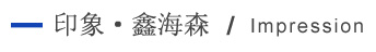 印象91污视频在线观看